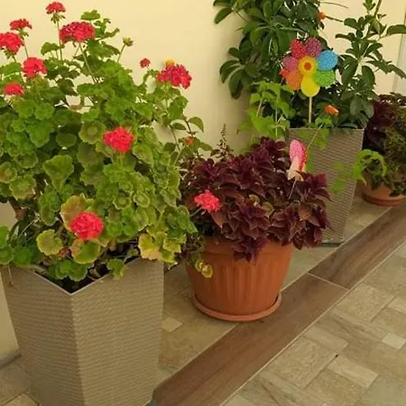 Niochori 1 Apartment Rhodes City