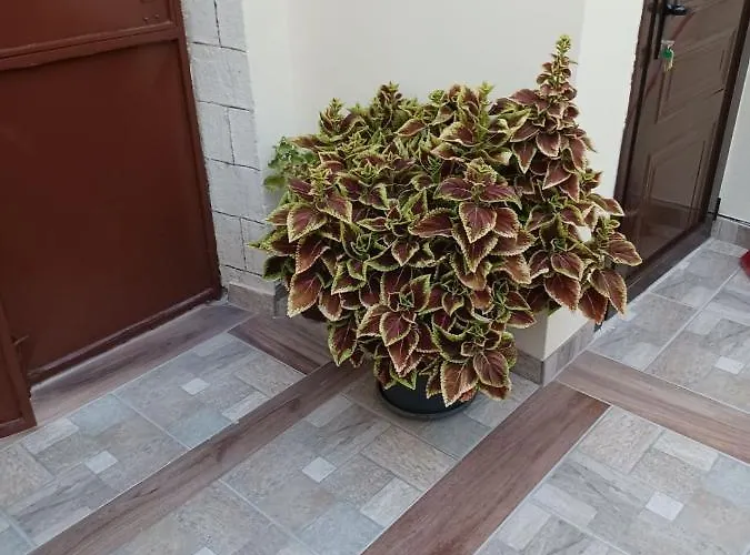 Niochori 1 Rhodes City